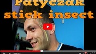 Patyczak czerwonoskrzydły Phaenopharos khaoyaiensis zobacz bo warto :D