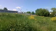 Nawet w Niedzielę