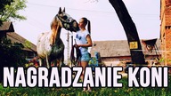 JAK NAGRADZAĆ