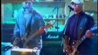 Big Cyc - Kraciaste koszulte live