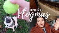 DOM NAM GNIJE :( | VLOGMAS 11