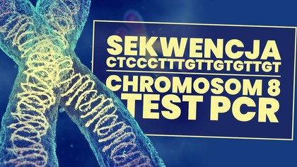 Test PCR i ludzki Chromosom 8! Sekwencja CTCCCTTTGTTGTGTTGT! Wyjaśnienie