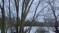 Jak Pan FIFA 22 drzewa wycinał - Shorts nadesłany przez Moderatora SK!