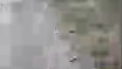 Leśny Spacer z Psem Rubikiem! Nadleśnictwo Manowo!Sarmata i labrador w lesie! Q&A i dyskusje! Zmrok!