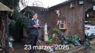 W Garden kuRaż * Pszczoła murarka - czyszczenie formatek * 23.  03.  2025