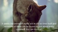Werewolf Lore: What Is Oborot - How To Become A Russian Wolf Sorcerer