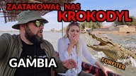 Poszukiwania hipopotama poszły nie tak!