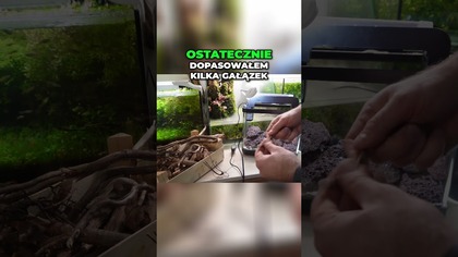 Zakładanie nietypowego akwarium.  Prosta i ładna aranżacja #akwarium #akwarystyka #invital