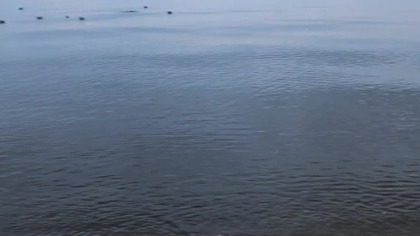 #plaża #szumfal #jesień