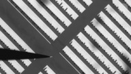 March of the microscopics robots
