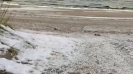Morski - Zimowy Pies Rubik na Dzikiej Plaży w Mielnie! Mróz, śnieg i zima nad Morzem Bałtyckim!