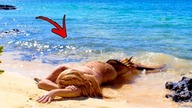 PRAWDZIWE SYRENY uchwycone na KAMERZE