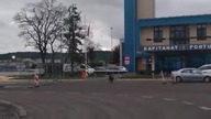 Spacer dzika pod Kapitanem Portu Gdynia