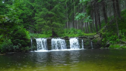 Forest Waterfall & River Sounds &bull; Dense Pink Noise Flow for Focus, Masking & Deep Work