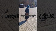 Dzień Gołębia