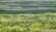 Vinland Saga (anime) - Odcinek 11 Wszystko na jedn kart