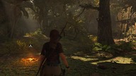 RTX 3090 shadow of the tomb raider # 15