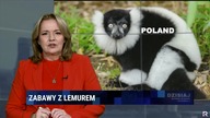 Jedyne, Prawdziwe, Polskie wiadomości ...  uśmiechnięta danuśka zaprasza ...