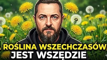 2444.  Zioło Wszechczas&oacute;w Jest Wszędzie A Tak Mało Ludzi Korzysta Z Jego Mocy