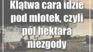 Klątwa cara idzie pod młotek, czyli pół hektara niezgody
