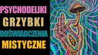 Psychodeliki: grzybki i doświadczenia mistyczne - Jordan B Peterson
