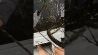 Był tak ciężki że NIE MÓGŁ GO WYJĄĆ #dc #dlaciebie #fyp #znalezisko #znaleziska #shorts #viral