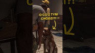 o co chodzi z głaskaniem psa w GTA 6?