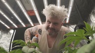 OSTATNI VLOG PRZED PRZESADZENIEM DO AUTOPOTÓW  Spider Farmer G8600 | Odc 5