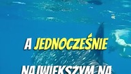 Jakie Jest NAJCIEŻSZE Zwierzę Pod WODĄ?