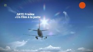Czemu nie wierzymy w katastrofę klimatyczną - film dokumentalny lektor pl