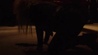 Van Helsing s1e5