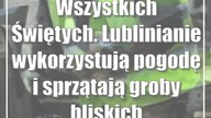 Wszystkich Świętych.  Lublinianie wykorzystują pogodę i sprzątają groby bliskich
