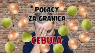 POLACY ZA GRANICĄ - SIĘ OGLĄDAŁO #6