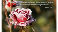 świadectwo - Dotknięty Bożą miłością
