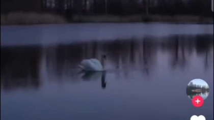 Ludzie nie wiedzą czego chcą #music