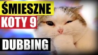ŚMIESZNE KOTY 9  DUBBING MATT OLECH