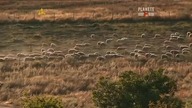 Seutes -- Nieśmiertelny Król Traków