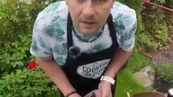Lubisz buraki? #burak #warzywo #człowiek #szczerość #live #ogródek #plener