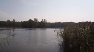 Nad jeziorem Balaton w Sosnowcu
