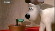 Wallace & Gromit.  Golenie owiec Dubbing PL (Wersja Druga z Wizja Jeden)