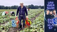 POTĘŻNY ŚLĄSK WROCŁAW | 7.  kolejka | Uniwersum Ekstraklasy | Kryzysy Lecha i Pogoni | Legia - Widzew