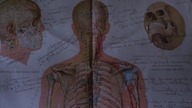 Zniszczenie Mózgu ( Brain Damage)-Horror 1988. DVDRip