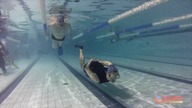 Freediving, czyli ile można wytrzymać na bezdechu - Best Divers