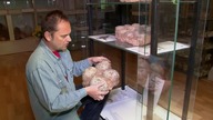 Skamieniałe gniazda z jajami dinozaurów łącznie ponad czterdzieści jaj