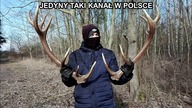 Polska Natura TV Adwords Reklama