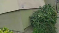 Windy Winda-Warszawa (Lift Rzeszów) (kl.  1 i 2) - Jałowego 7, Rzeszów