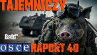 RAPORT OBWE Nr 40 (BaldTV) 