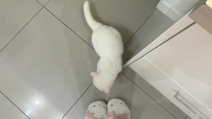 #vlog dzien z zycia studentki mody #antoninaflak #makeup #samosiaa