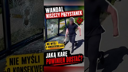 Zniszczył przystanek.  Jaką karę powinien dostać za takie zachowanie?  #shorts #polska #monitoring