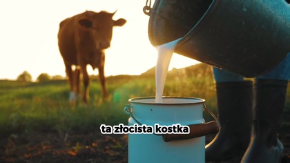 8 Polskich Marek Masła, Których Musisz Unikać W 2026 (1080p 30fps H264-128kbit AAC)